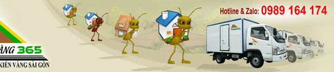 Chuyển văn phòng trọn gói giá rẻ quận 7-Kiến Vàng Sài Gòn