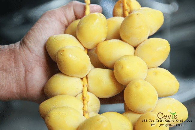 Công ty Cevis là Top 9 Cửa hàng bán trái cây ngoại nhập chất lượng nhất TPHCM
