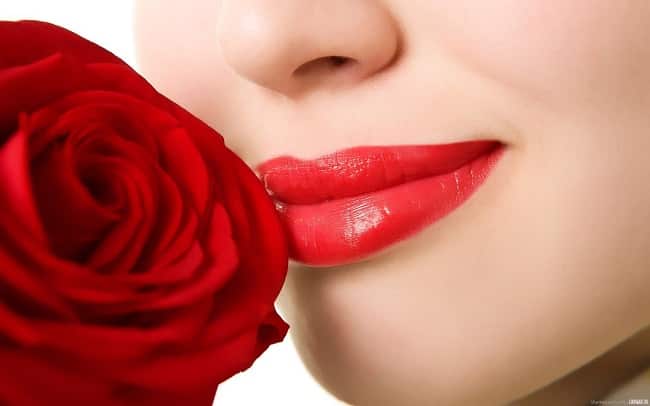 Cách chữa thâm môi bằng Hoa Hồng