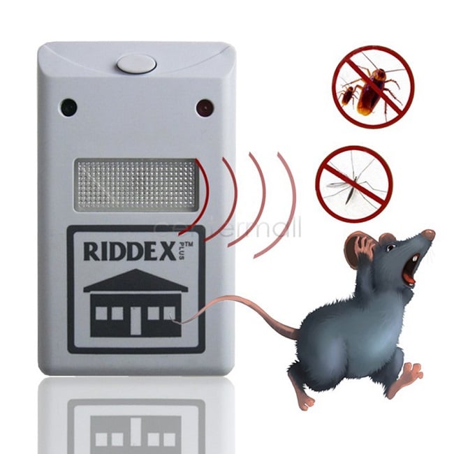 Mẹo diệt chuột an toàn và hiệu quả bằng âm thanh lớn