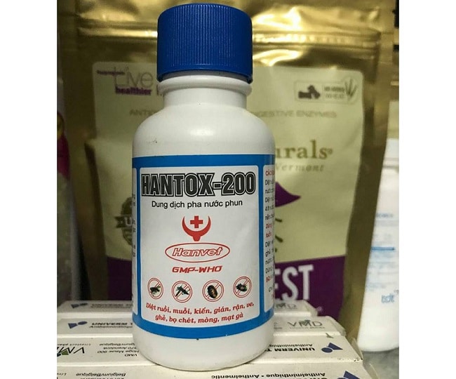 Hanvet Hantox là một trong Các loại thuốc diệt bọ chét hiệu quả và tốt nhất