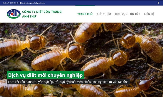 website cong ty diệt côn trùng Anh Thư