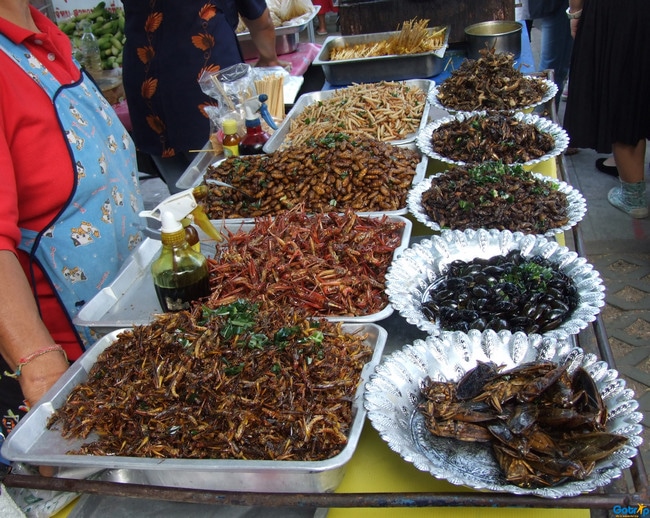 Các món ăn từ côn trùng