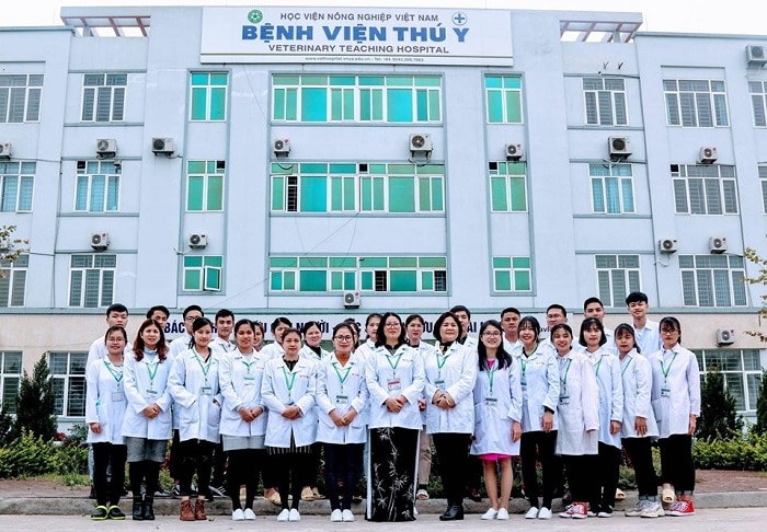 Top 10 phòng khám thú y uy tín nhất Hà Nội vietnam vethospital