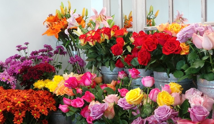 top 10 shop hoa tươi uy tín nhất ở Huế - Huyền Vân