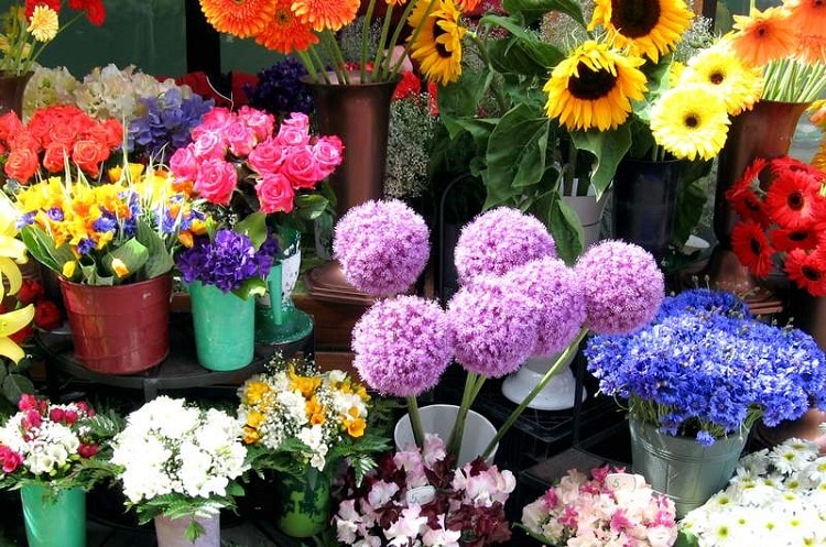 top 10 shop hoa tươi uy tín nhất ở Huế - hana 