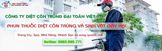 Diệt mối quận 12 Đại Toàn Việt