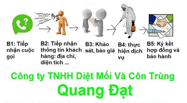 Diệt mối quận 8 cong ty Quang Đạt