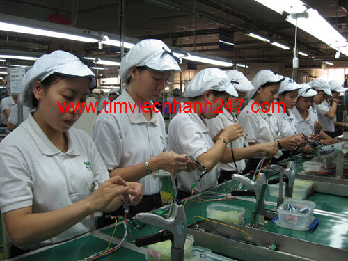 Nhân lực Thiên Hồng Phúc