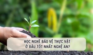 học nghề bảo vệ thực vật