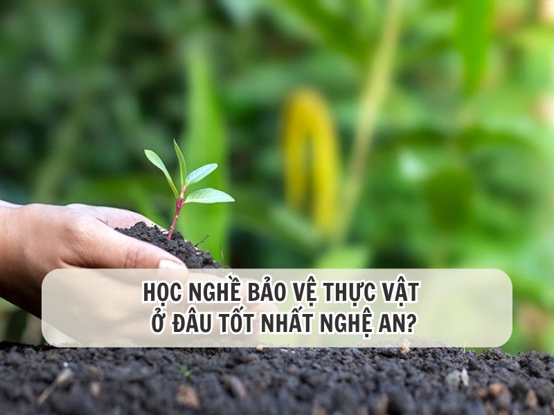 học nghề bảo vệ thực vật