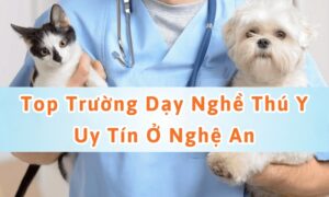 trường đào tạo nghề thú y tại nghệ an